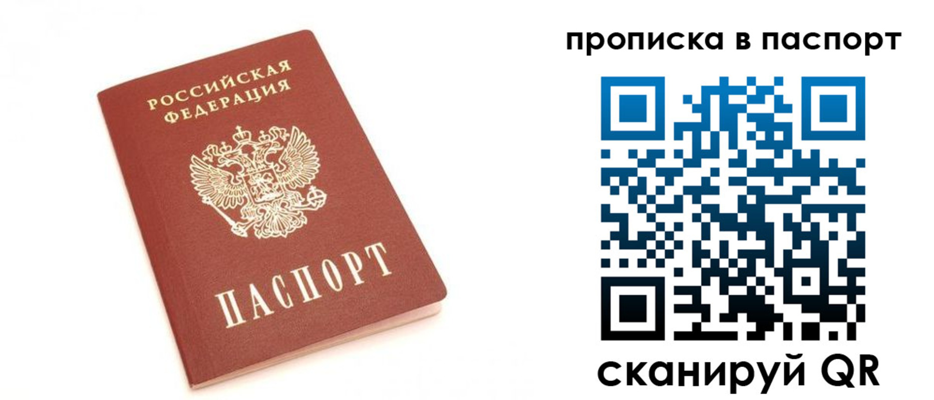 прописка для работы в Дмитрове